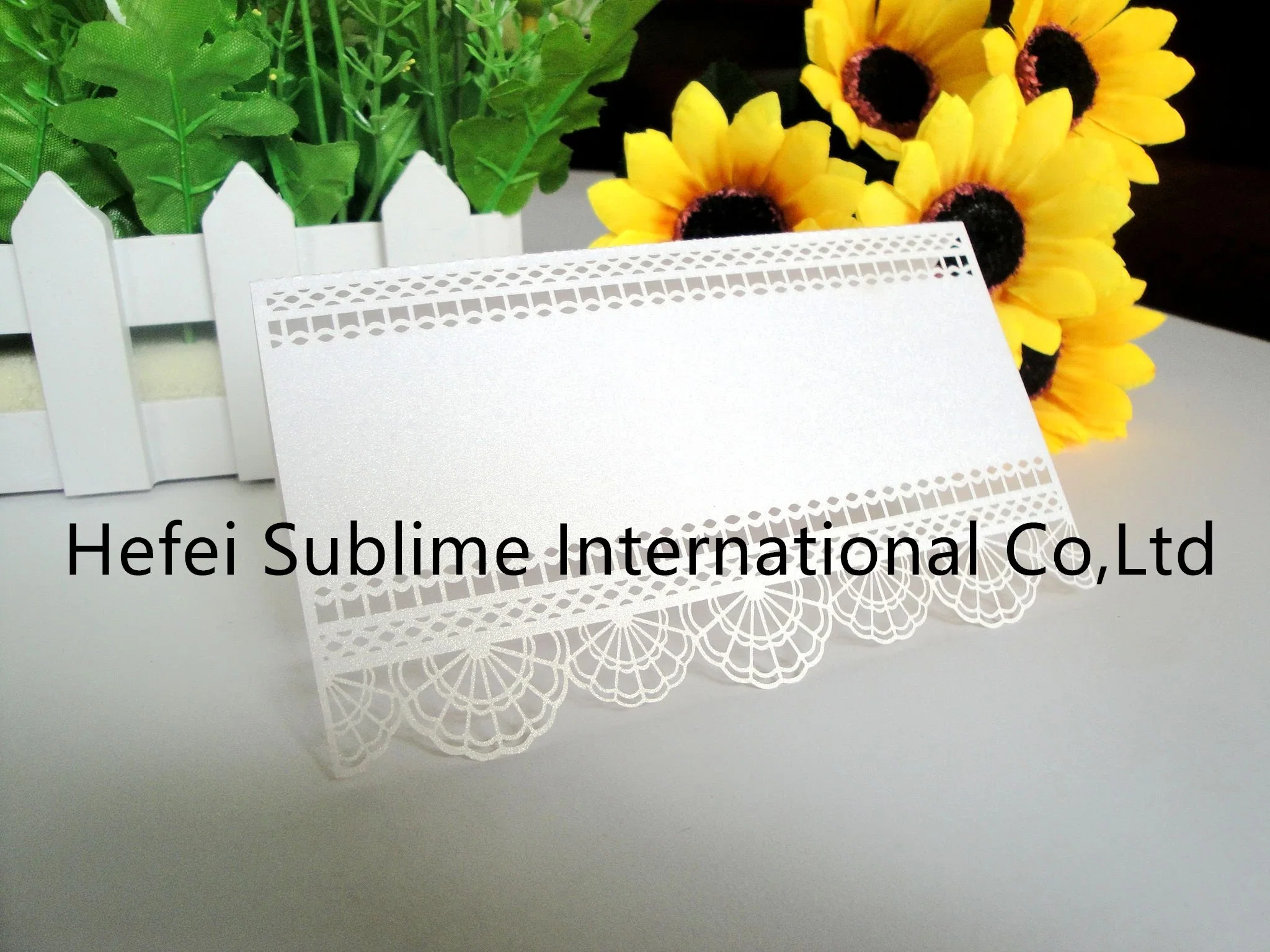 Laser Cut Wedding Name Cards for Table Placing Party Favors Seat Card Decoration
