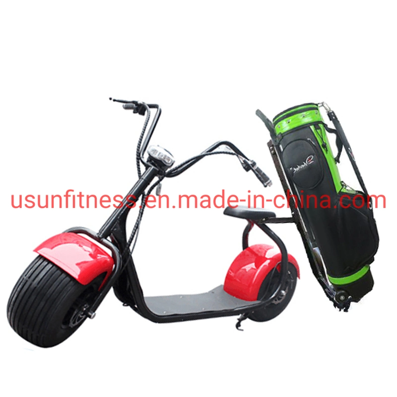 Golf Club Hot Sales 2 Wheels Electric Cars in High Performance Golf Electric Scooter City Coco Fat Tire Tricycle Motorcycle Cargo Scooters for Golf Course