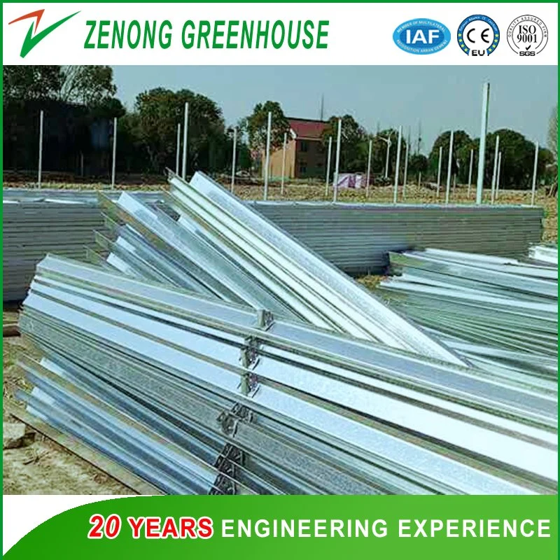 Factory Wholesale/Supplier Polycarbonate Sheet Greenhouse Used as Garden House for Vegetables/Flowers