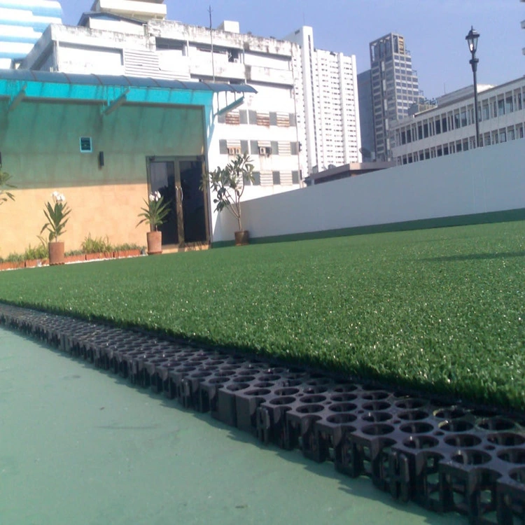 Water Drainage Cage/ Plastic Drainage Board / Water Drainage Cover