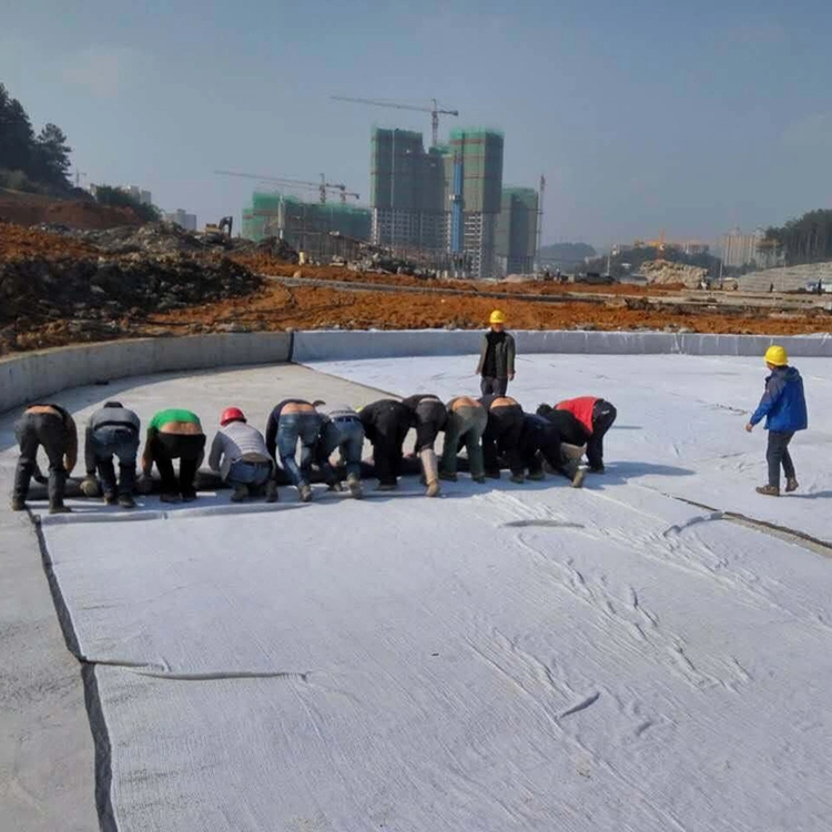 Non-Woven Geotextile Manufacturer Road Fabric Polypropylene Fabric for Road in Malaysia