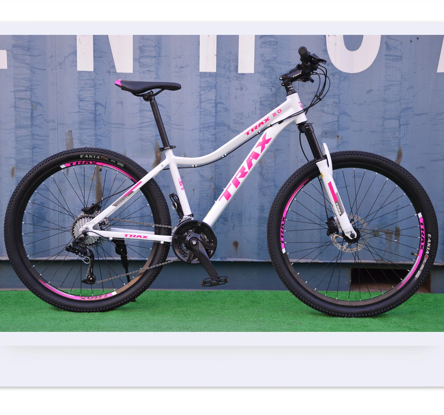 Lady Model Discount Steel or Alloy MTB Bicycle for Sale