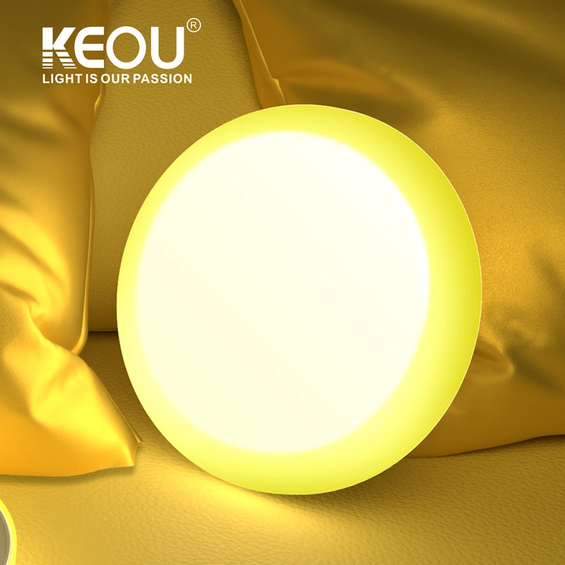 Keou Modern 36W bicolore rond blanc RVB Dual Color Clean Éclairage de la salle LED pour salle blanche