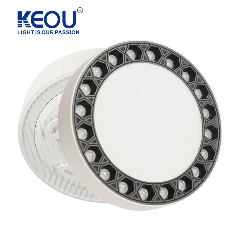 Factory No Punching Indoor Light 24W LED Downlight for Commercial