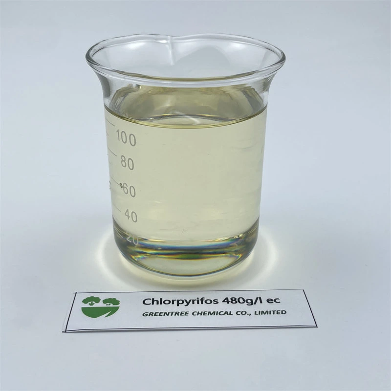 C9h11cl3no3PS Chlorpyrifos 480g/L Ec Supplier