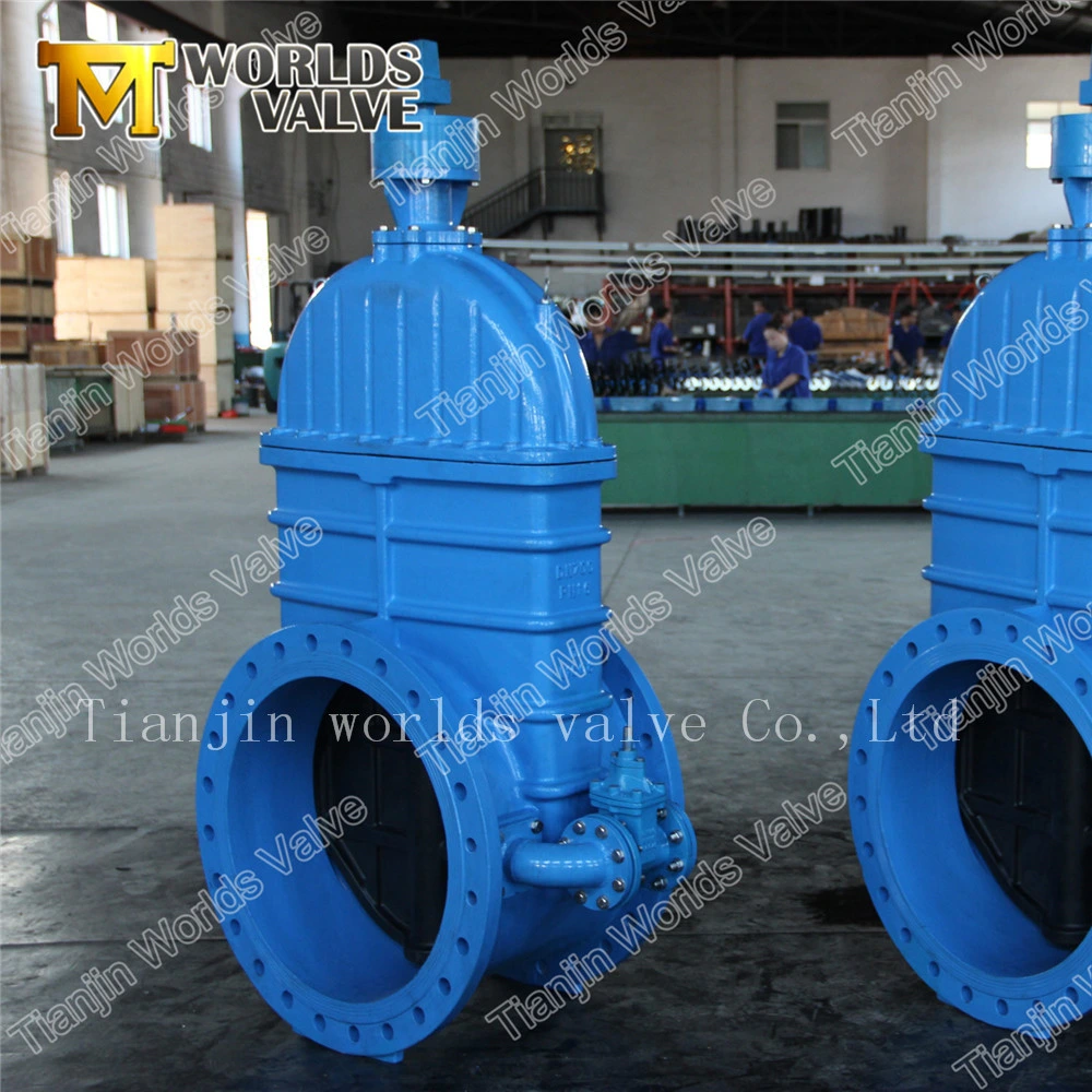 Ductile Iron Rubber Coated Gate Valve for Water Pipeline