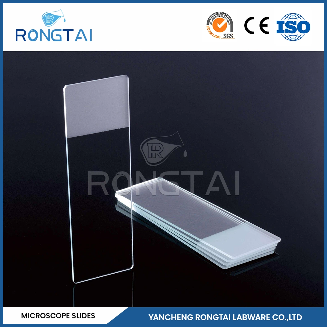 Rongtai Anatomy Microscope Slide Manufacturing Polystyrene Microscope Slides China 7101 7102 7105 7107 7109 Microscope Prepared Protozoa Slides