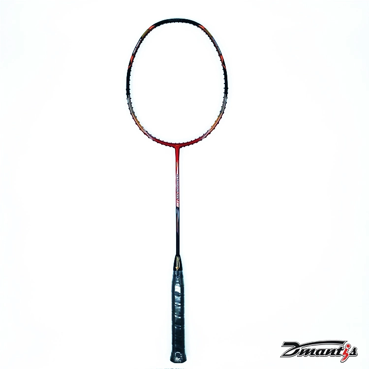 Chine Custom 5u niveau haute qualité Badminton raquette Professional Carbon