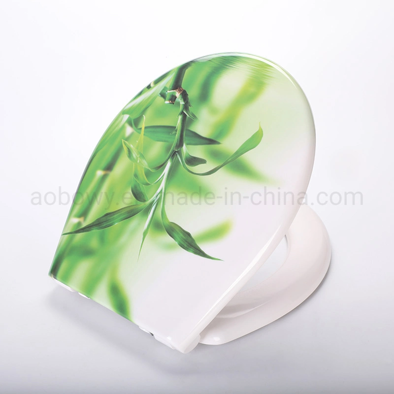 Sample Customization Bathroom Rectangular Soft Close 3-Sides Printed Ceramic Special Toilet Seat