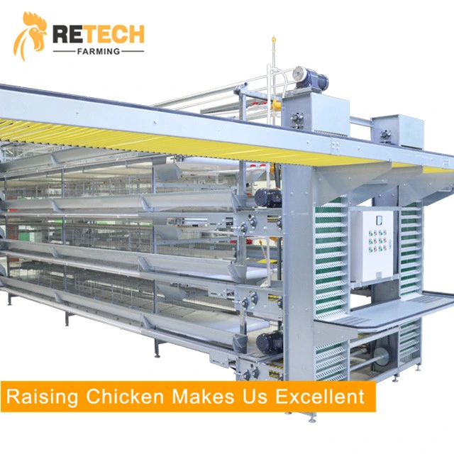 Poultry Farm Automatic H Type 4 Tiers 240 Birds Battery Cage Laying Hens