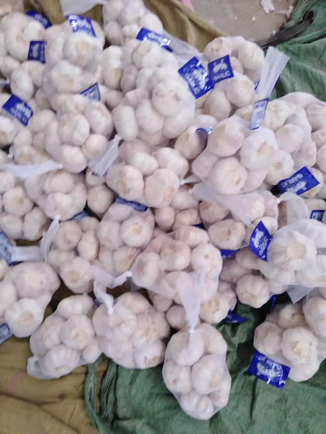 Fresh Small Pacakge White Garlic with High quality/High cost performance Standard