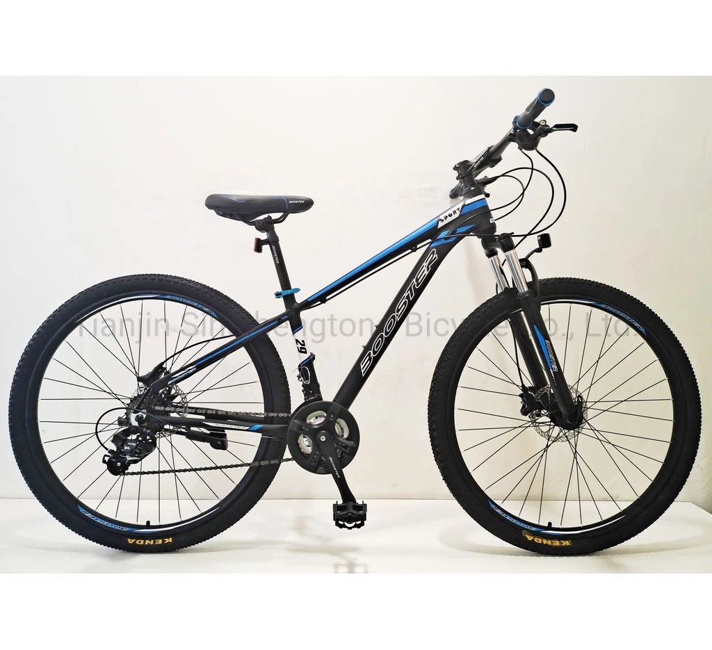29" 24speeds Hydraulic Disc Brake MTB Bike 29inch Wheels Alloy Other Bike