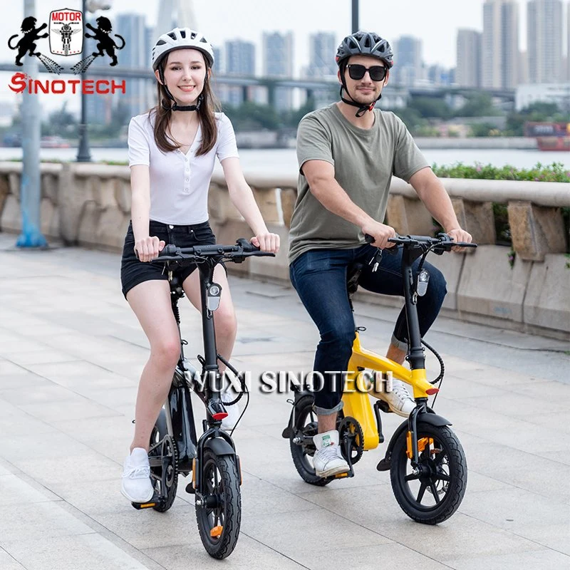 CE Certificate Swappable Lithium Low Speed Foldable Electric Mini Bike