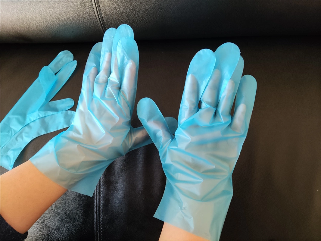 China Suzhou Disposable TPE Gloves PE Black Blue Gloves