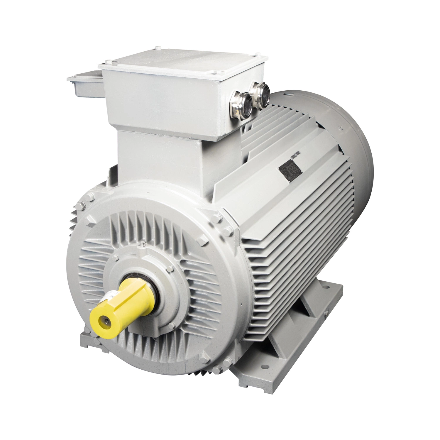 160kw 8poles Low Voltage Frequency Variable Electric Motor