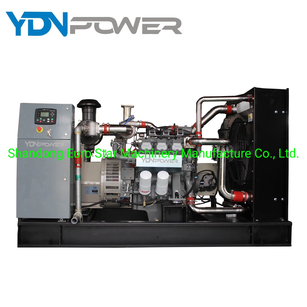 Hot Selling 150kw Biogas Generator Generator Set Industrial and Agricultural Production Generators