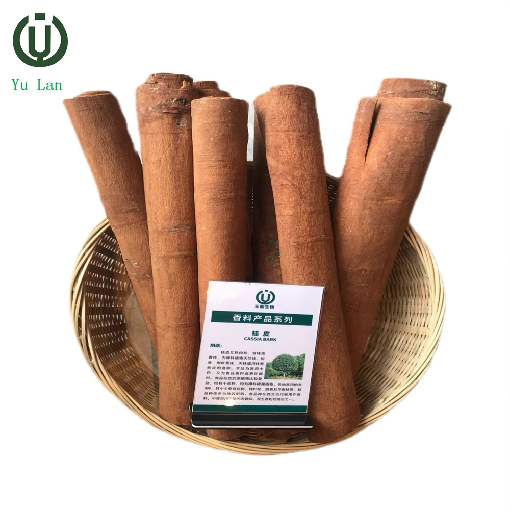 Comercio al por mayor los sabores naturales de la corteza de canela y condimentos Cassia Tube Venta caliente especia