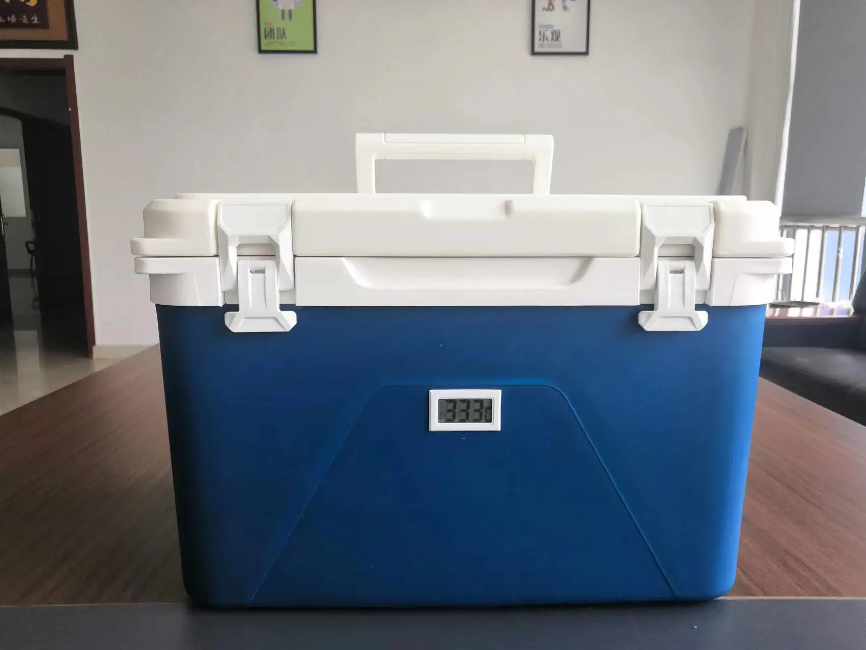 10L Ice Chest Can Cola Insulated Cooler Beer Cooler Box for Outdoor Portable Cooler Box