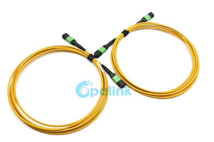 High Performance High-Density MPO-MPO Trunk Fiber Jumper with Factory Price