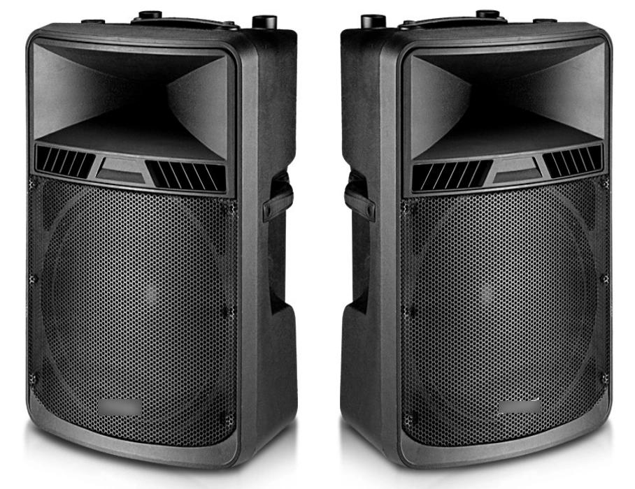 Tws 5 Band EQ Active Black Color 18inch Loudspeaker