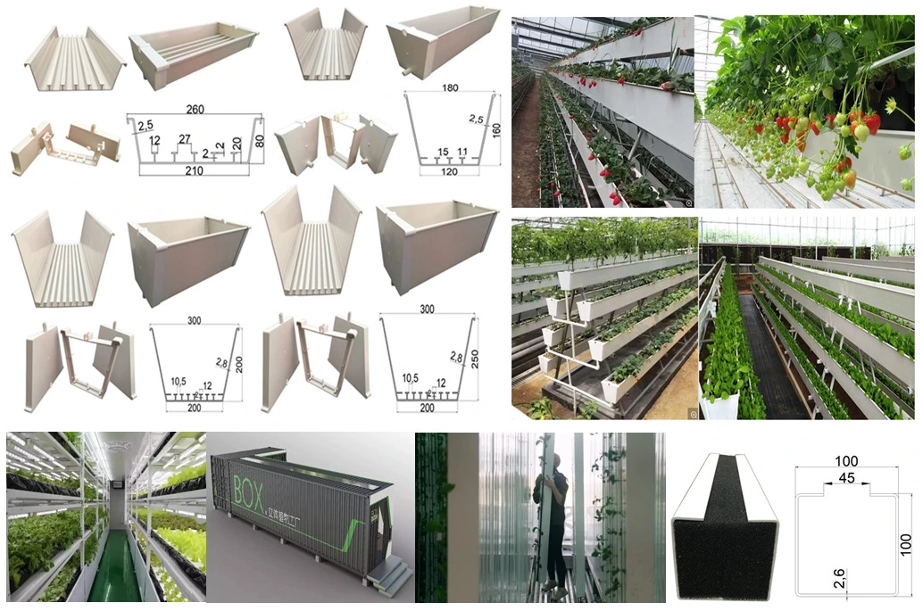 Sistema de crecimiento en la hidroponía Vertical Nft