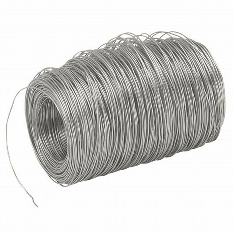 Cold Heading Steel Wire Rod for Cold Drawn Wire SAE 1006 SAE 1008 Alloy Plain Wire Rod in Coil for Cold Drawn Wire Nail Making