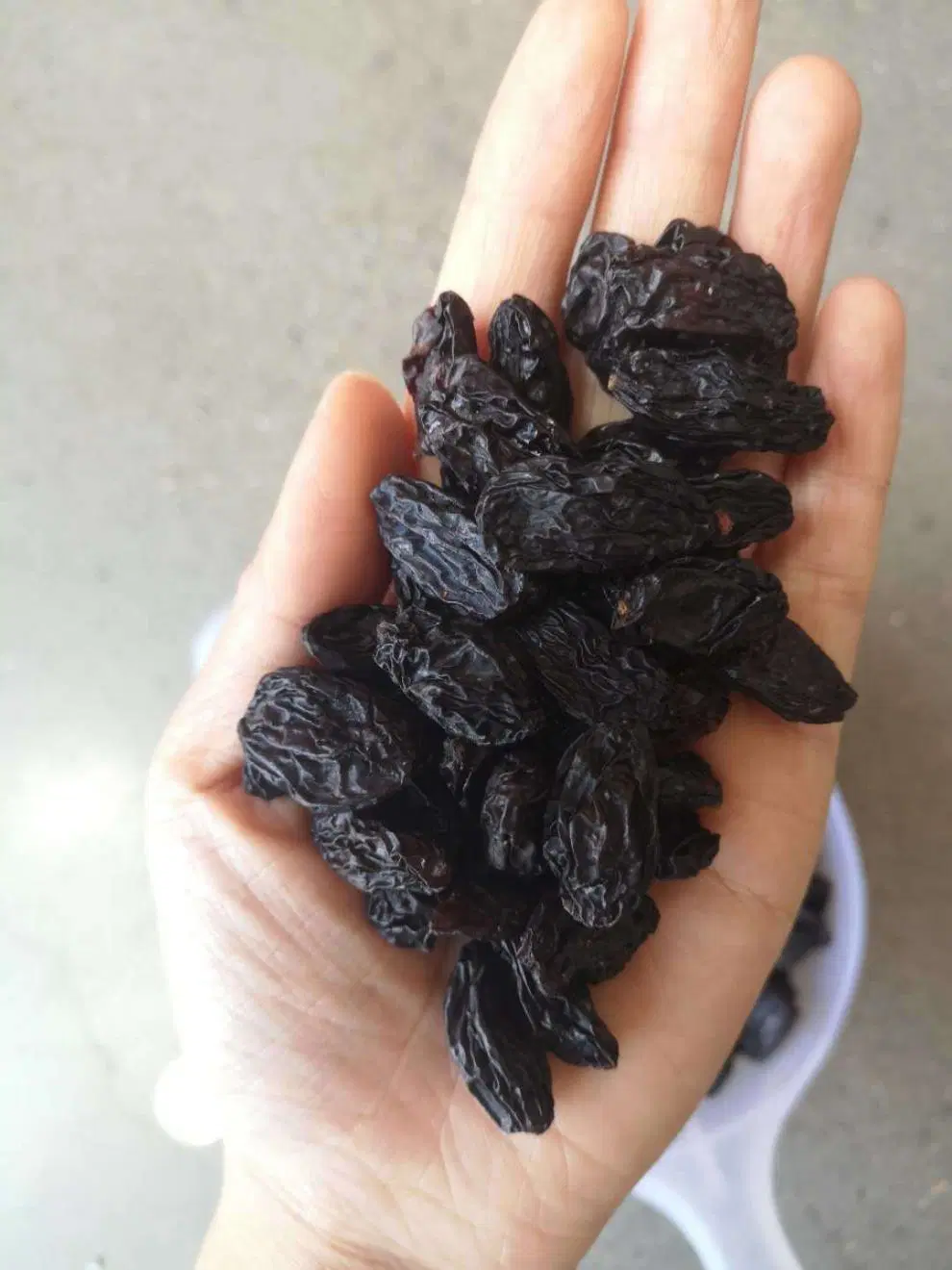 Gesunde Getrocknete Traube Schwarze Raisin Getrocknete Früchte Lieferant