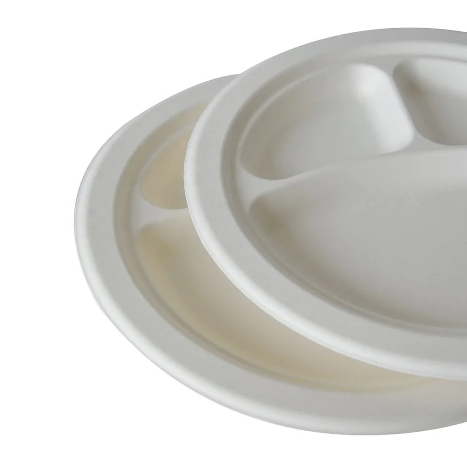 Bagaço de cana-de-açúcar branco natural biodegradável descartável de 10 polegadas e 12 polegadas Placa oval no Show