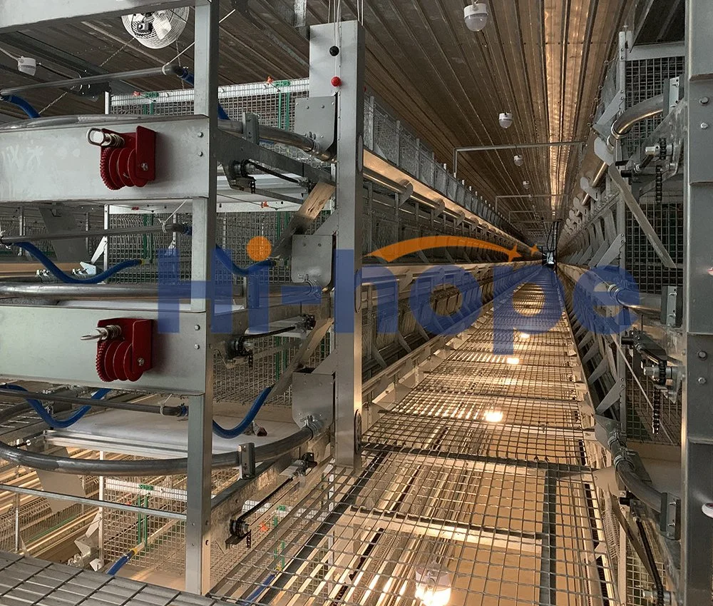 Environmental Controlled Automatic Egg Chicken Hen Layer Cage System