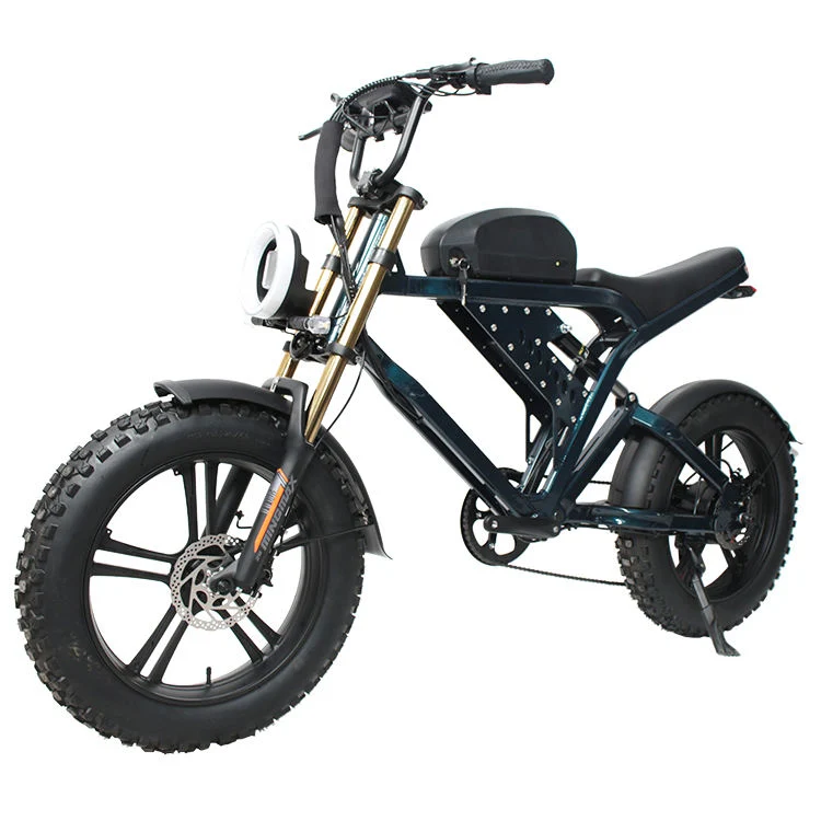 Super Fast 1000W Adult Electric Dirt Bike with Fat Tires Ebike