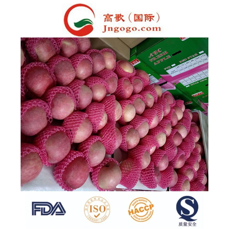 High quality/High cost performance Juicy Red Star Apple for Exporting