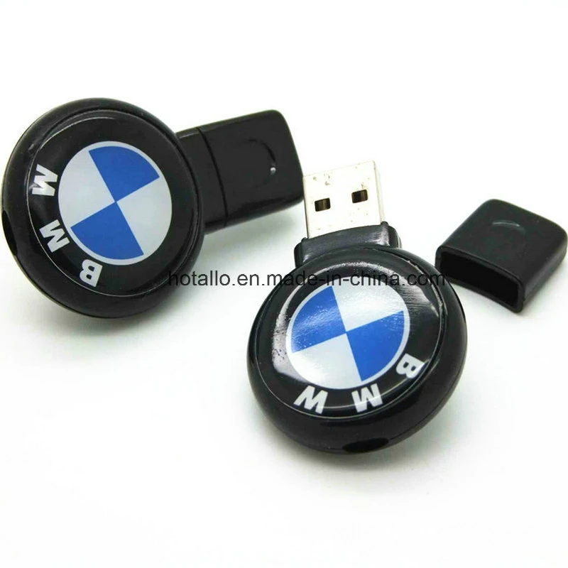 Paster Promotional USB Flash Drive USB Memory with Doming Logo