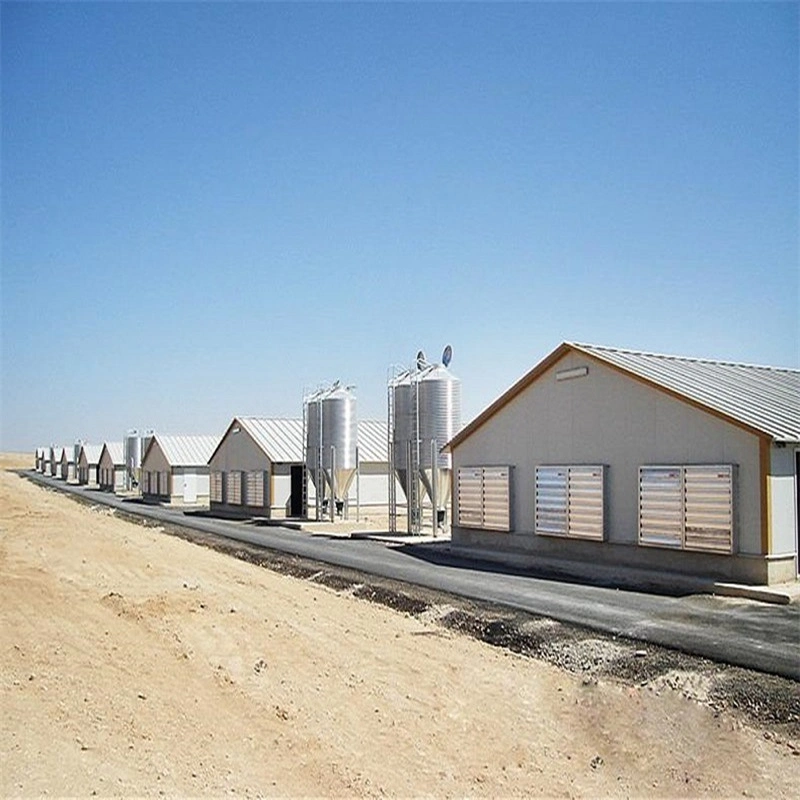 L'usine ferme avicole d'élevage de poulets de chair d'alimentation de l'équipement