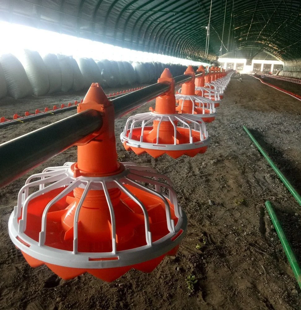 Pollo automático de Agua Potable y Sistema de alimentación para el pollo broiler alimentadores de aves de corral Gallinero Maquinaria agrícola