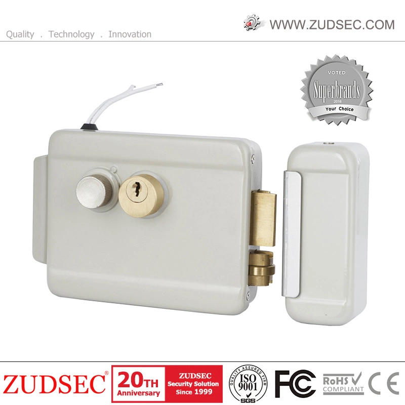 Electric Lock Smart Lock Solenoid Lock DC12V/24V