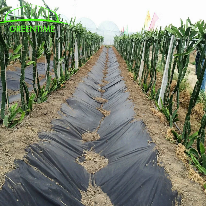 Garden Ground Cover Weed Barrier Landscape Fabric