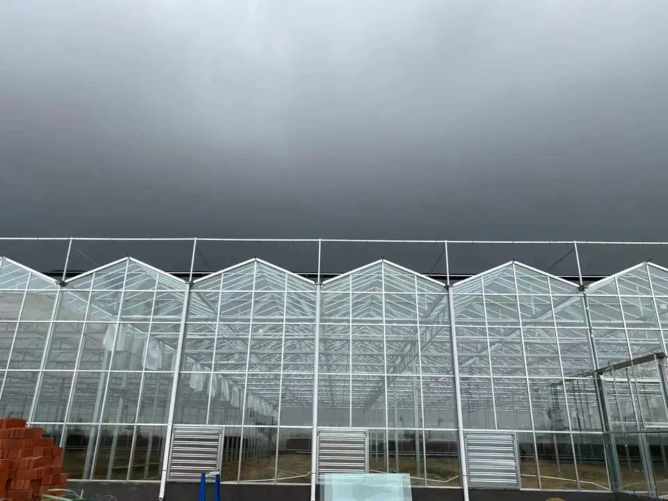 The Factory Supplies High-Quality Single or Double Hollow Glass Greenhouse Agricultural Vegetable Glass Greenhouse