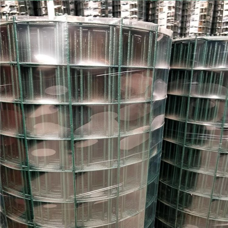 Multi-Purpose Green Plastic Coated Wire Mesh