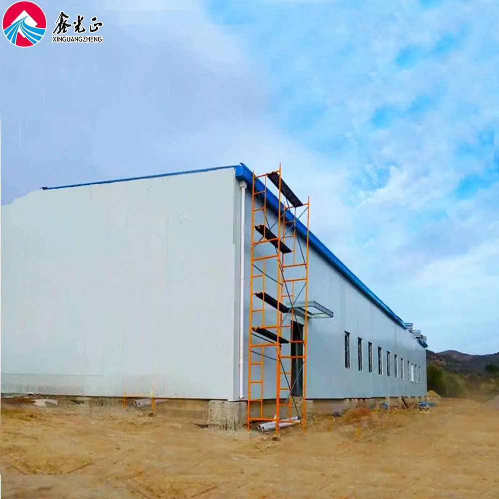 Steel Frame Steel Structure Building Warehouse