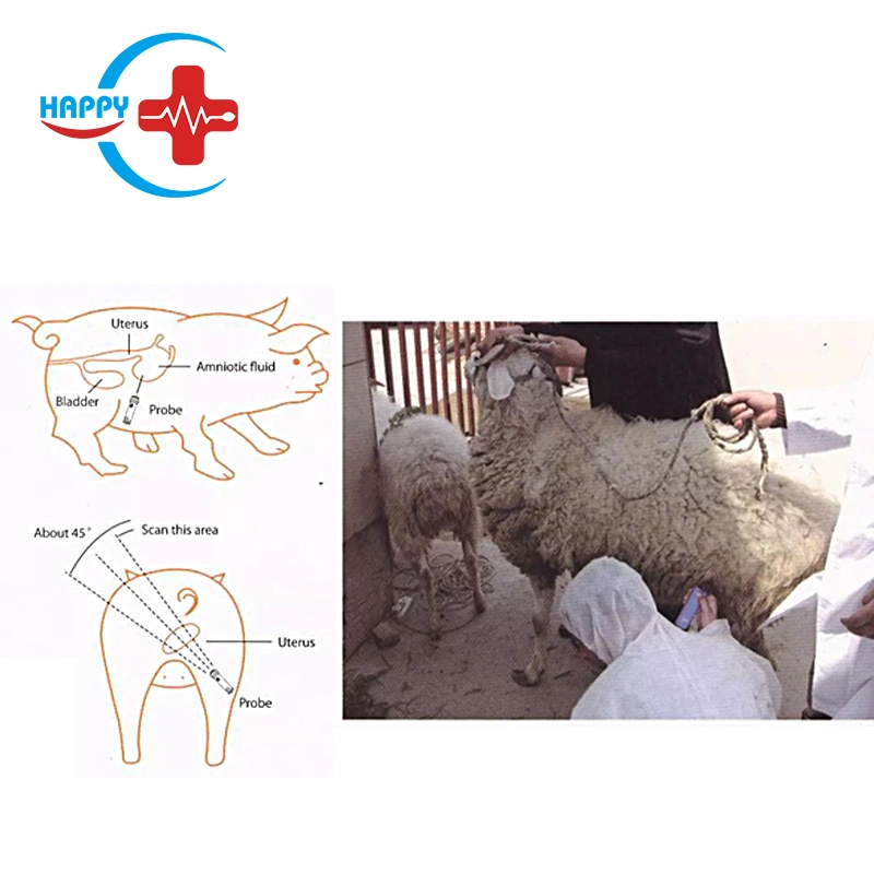 Hc-R054 Portable Mini Veterinary Pregnancy Scannertest Instrument for Pig Sheep Animals Use