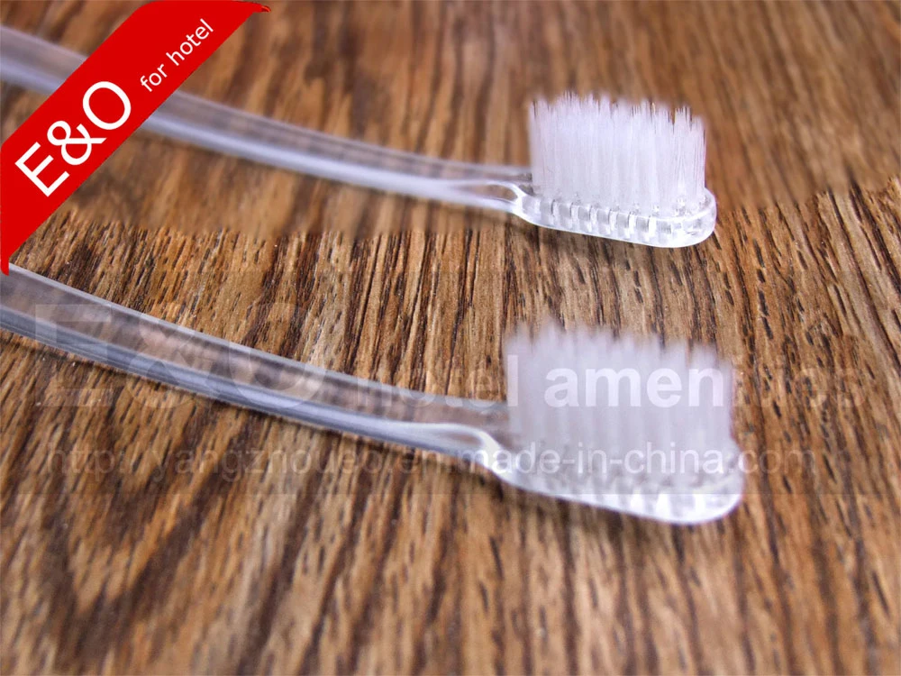 Adult Toothbrush with Soft Bristle