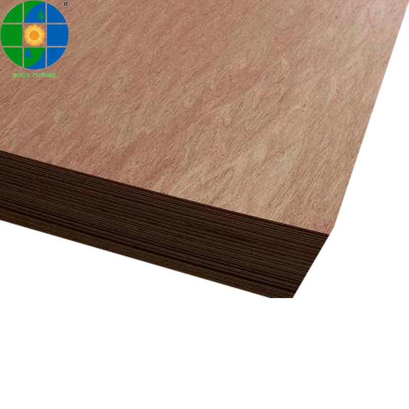 1220X2440 3X7 12mm de contrachapado de abedul de pino Okoume comercial