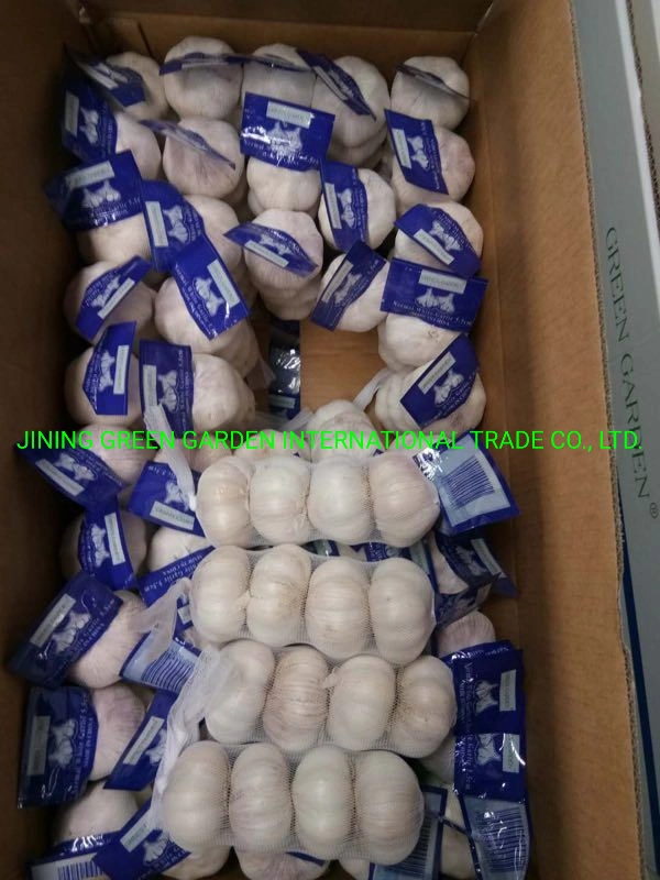 2021 New Crop Fresh White Garlic From China Mosquto Coil Cheak Peace Supplier in Australia China Garlic Cheep Price in Thailand