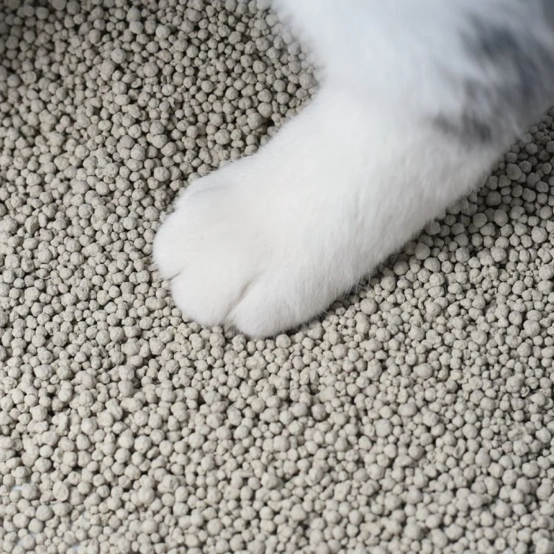 Premuim Less Dust OEM 1mm Ball Shape Bentonite Cat Litter with Flavors