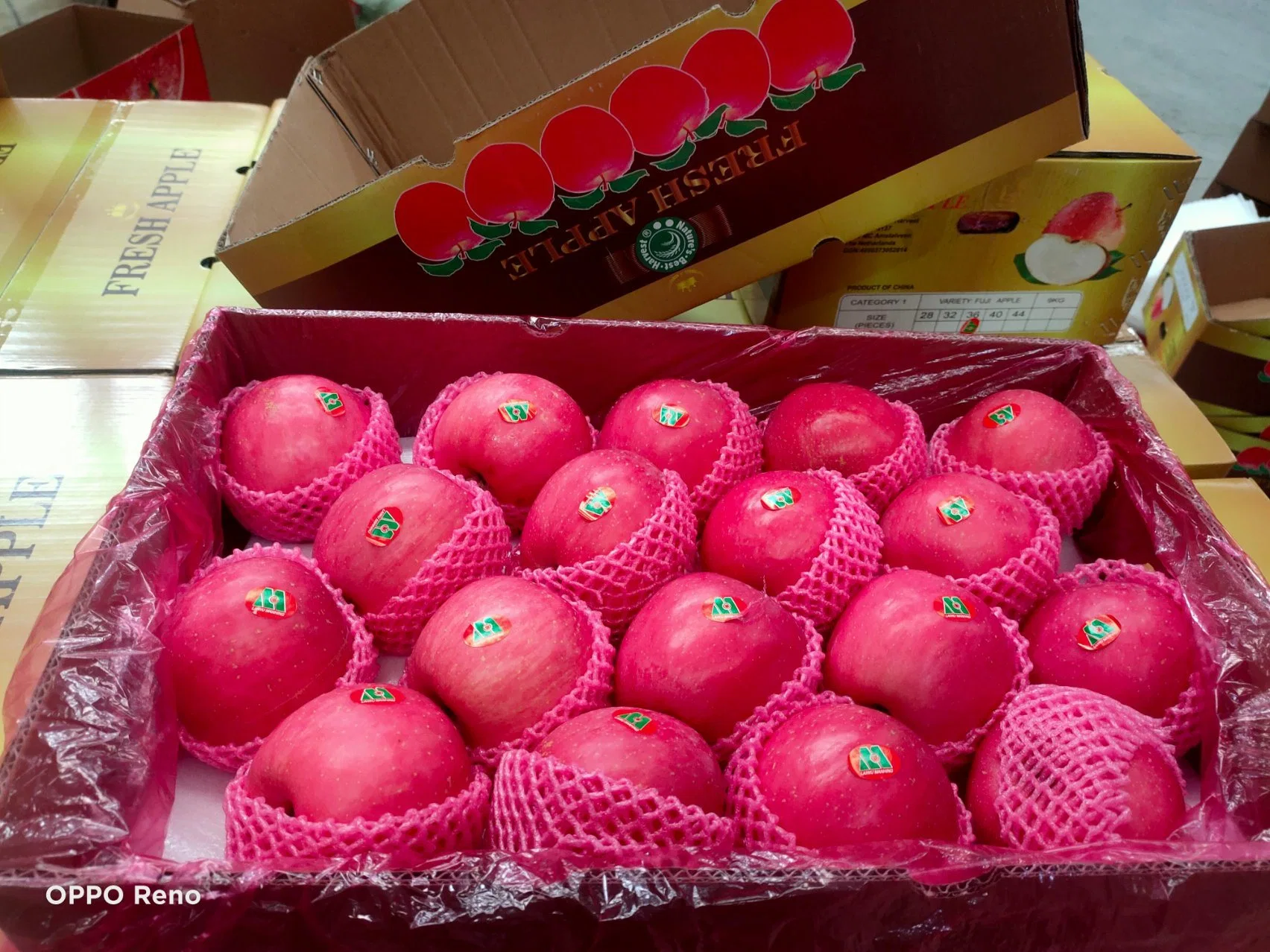 Fresh New Crop Chinese Wholesale/Supplier Premium Quality FUJI Apple Full Red Color