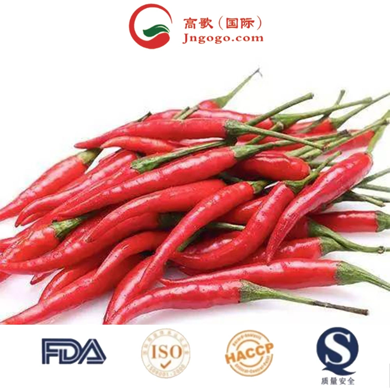 Hot Sale Customized Bulk Chaotian Spicy Chili Sun Dry Red Chilli Buyers