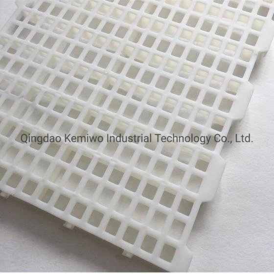 2022 Plastic Floor Mats or Plastic Chicken Floor Mesh in Lower Price