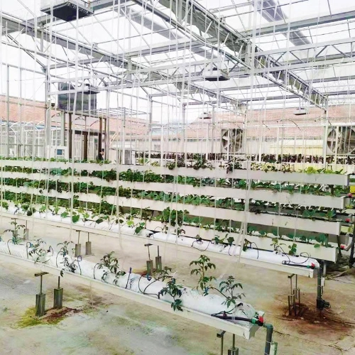 Xinhe Customized Nude PVC Planting Nft Growing Systems Hydroponic System