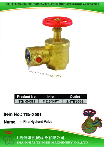 Pressure Reduce Angle Hydrant Valve: F2-1/2"NPT==2-1/2"BS336