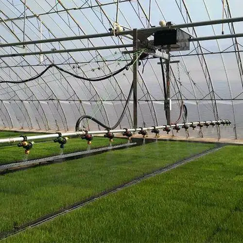 Irrigation System of Greenhouse - Fixed Drop-Hanging Spray and Automobile Drip Arrow Irrigation